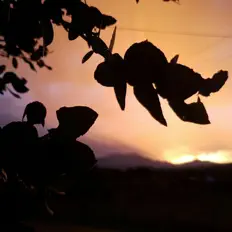 Écoutez Aeonian Finale, regardez des vidéoclips, lisez la biographie, consultez les dates de tournée et plus encore !
