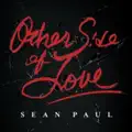 OTHER SIDE OF LOVE