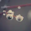 The Echelon Effect - Your First Light My Eventide