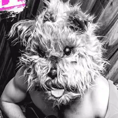 The Kolyaを聴いたり、ミュージックビデオを鑑賞したり、経歴やツアー日程などを確認したりしましょう！