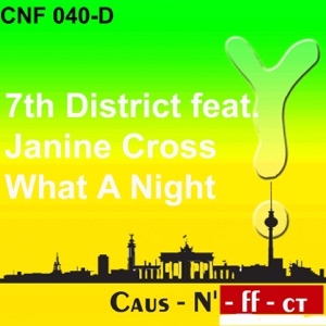 What a Night (feat. Janine Cross)