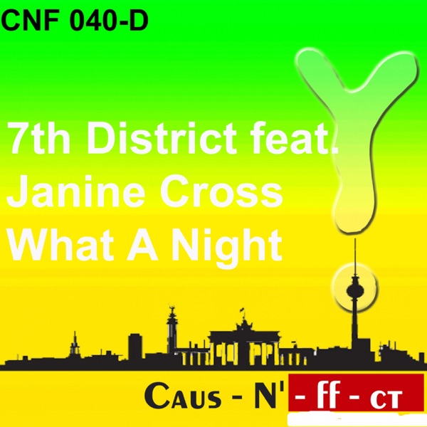 What a Night (feat. Janine Cross)