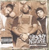 Naughty By Nature Nineteen Naughty Nine Nature's Fury