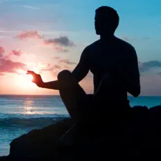 聆聽 Meditation Guru、觀看音樂影片、閱讀小傳、查看巡演日期等！