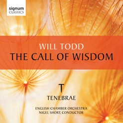 TODD/THE CALL OF WISDOM cover art