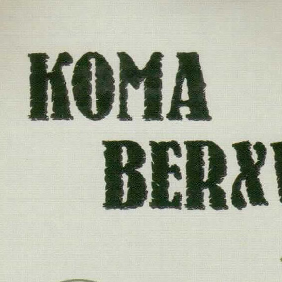 Koma Berxwedan