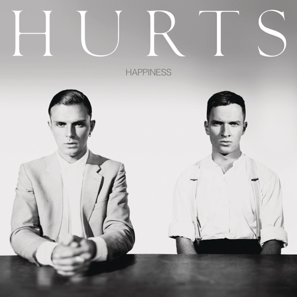 Hurts Wonderful Life (2010)