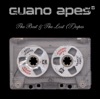 Guano Apes