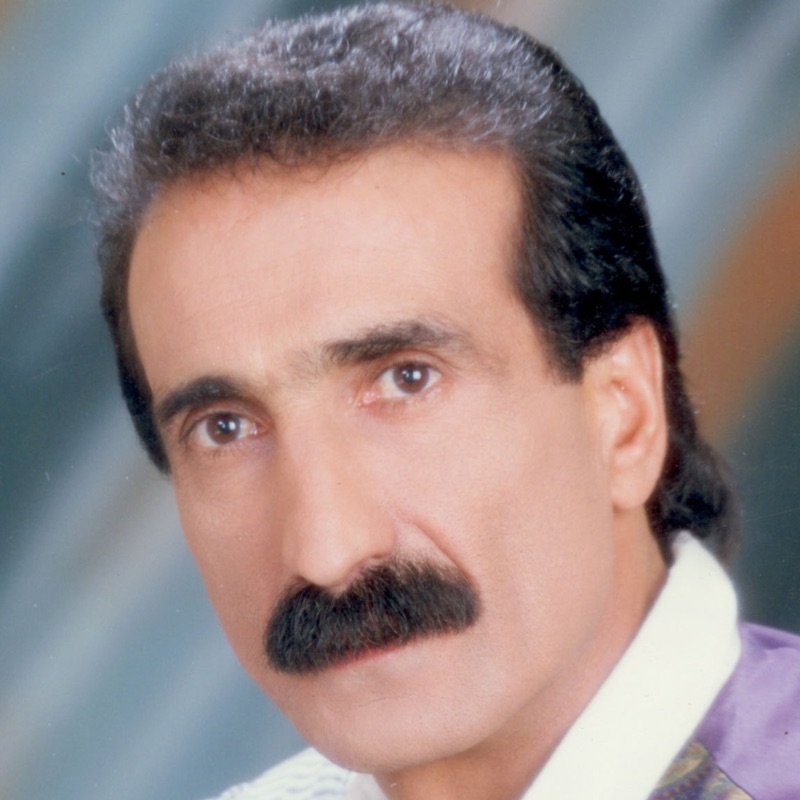 Song - Ne Kadar Ağladım - Seyfi Doğanay