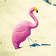 Escucha a Chill Out Everyday Music Zone, mira vídeos musicales, lee la biografía, consulta fechas de giras y mucho más.