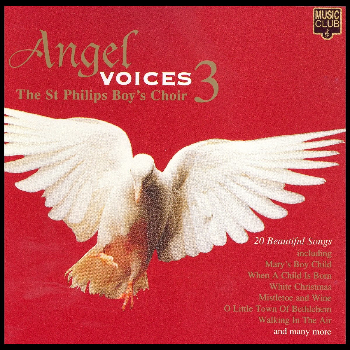 Voices песня перевод. Angel Voice. Angelic Voice. Angelic Voices альбом. Рок Angelic Voices альбом.