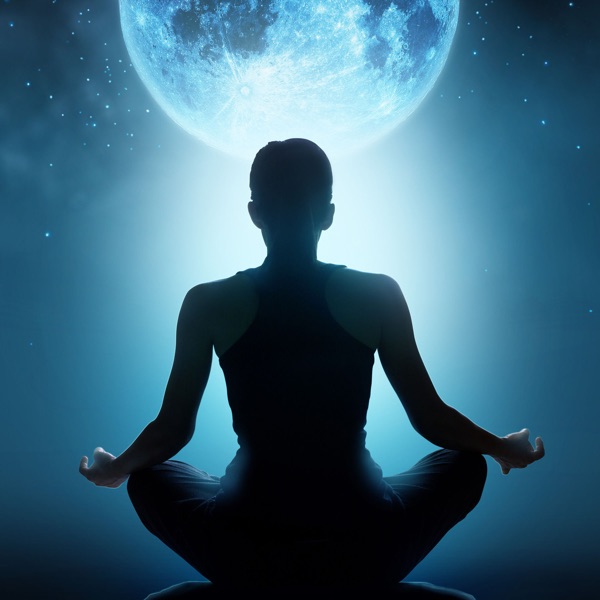 Relaxation Meditation Songs Divine's avatar