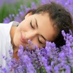 Natural Cure Sleep Land
