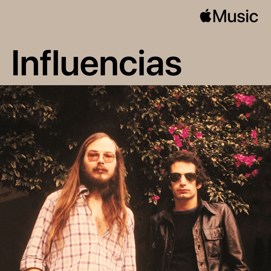 Steely Dan: influencias