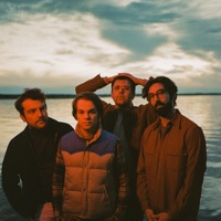 The Elwins