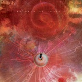 Animals As Leaders - The Woven Web