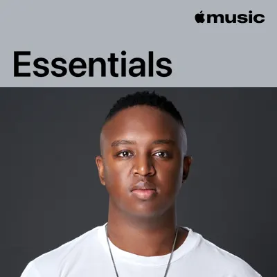 Elderbrook adlı sanatçının yer aldığı Shimza Essentials çalma listesini dinle