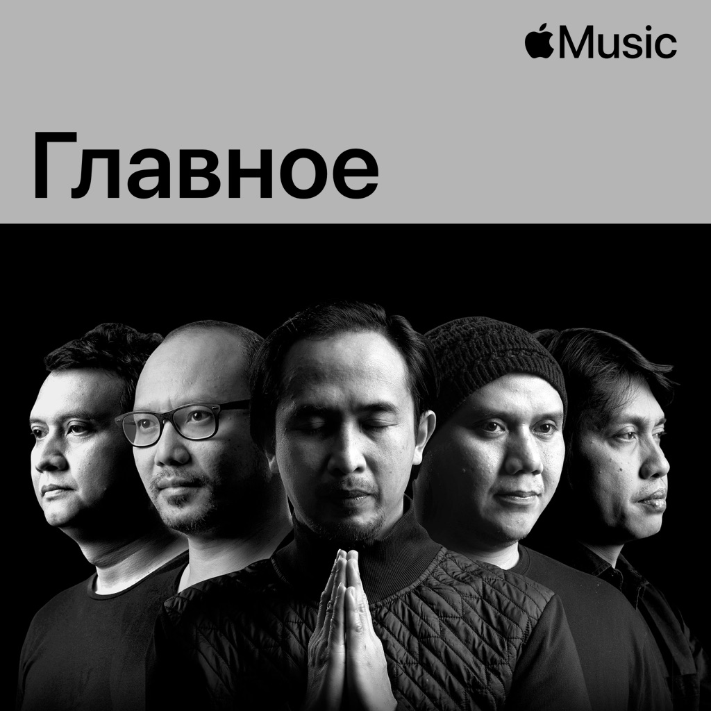 Padi: главное