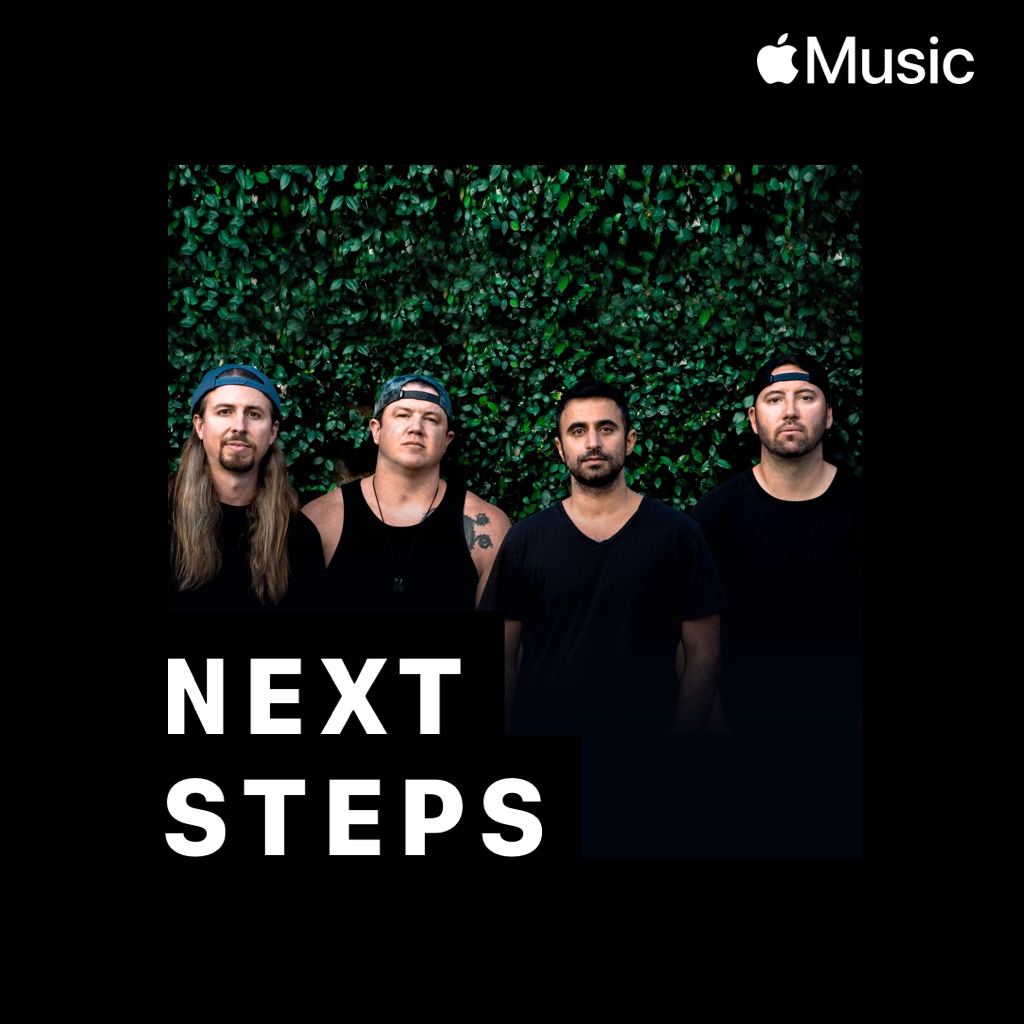 Rebelution: Next Steps