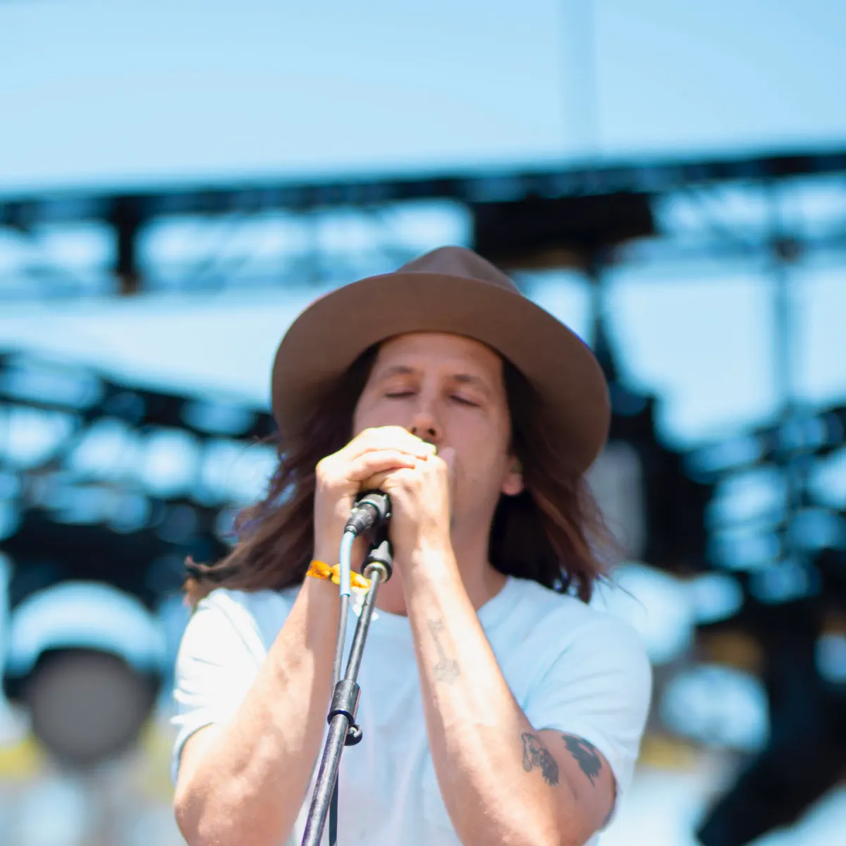 Cisco Adler