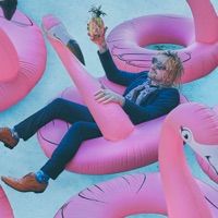 The Griswolds