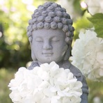 Meditacion Budista Maestros