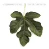Caedmon's Call - Need Your Love