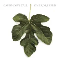 Caedmon's Call — There Is A Reason