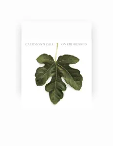 Listen to Caedmon's Call, watch music videos, read bio, see tour dates & more!
