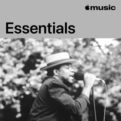 Ascolta Kanda Bongo Man Essentials con Kanda Bongo Man