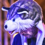 Husky by the Geek