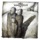 Album cover of Three Days Grace by Three Days Grace