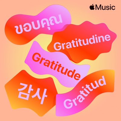 Never Forget You Noisettes Shazam Never Forget You Noisettes Shazam