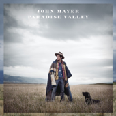 John Mayer - Dear Marie Lyrics