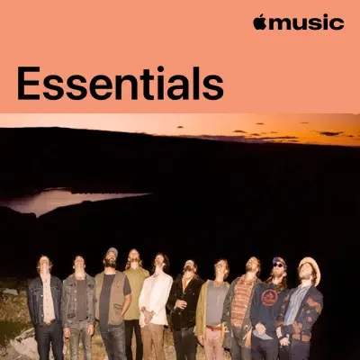 Ascolta Edward Sharpe and the Magnetic Zeros Essentials con Edward Sharpe & The Magnetic Zeros