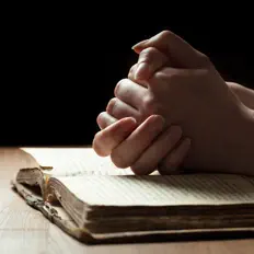 Bible Study Musicを聴いたり、ミュージックビデオを鑑賞したり、経歴やツアー日程などを確認したりしましょう！
