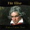 Für Elise - Beethoven Orchestra London