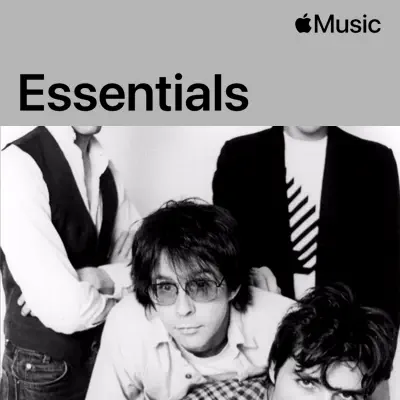 Peter Holsapple & Chris Stamey adlı sanatçının yer aldığı The dB's Essentials çalma listesini dinle