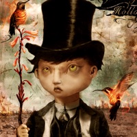 Johnny Hollow