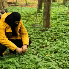 收听 Mike Waves、观看音乐视频、阅读小传、查看巡演日期等 ！