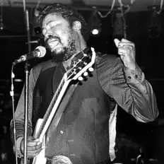 Listen to Son Seals, watch music videos, read bio, see tour dates & more!