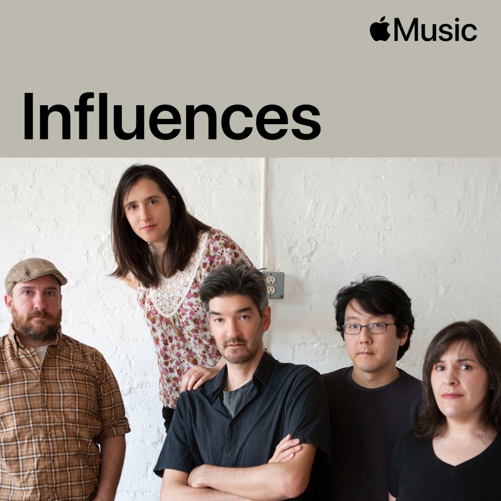 The Magnetic Fields: Influences