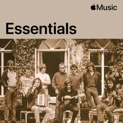 The Waterboys Essentials