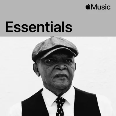 Hör dir Hugh Masekela Essentials mit Hugh Masekela an