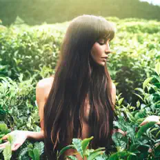 收听 Brenda Asnicar、观看音乐视频、阅读小传、查看巡演日期等 ！