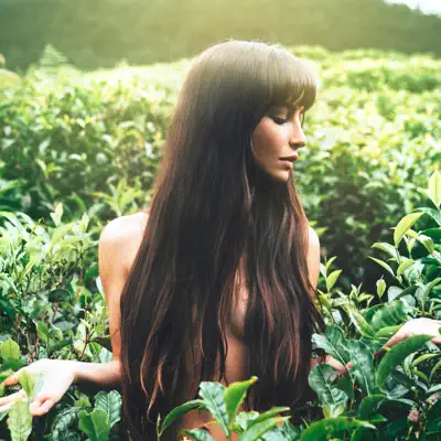 Listen to Brenda Asnicar, watch music videos, read bio, see tour dates & more!