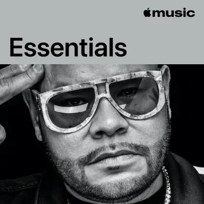 Fat Joe Essentials