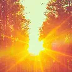 Listen to Relaxing BGM Project, watch music videos, read bio, see tour dates & more!