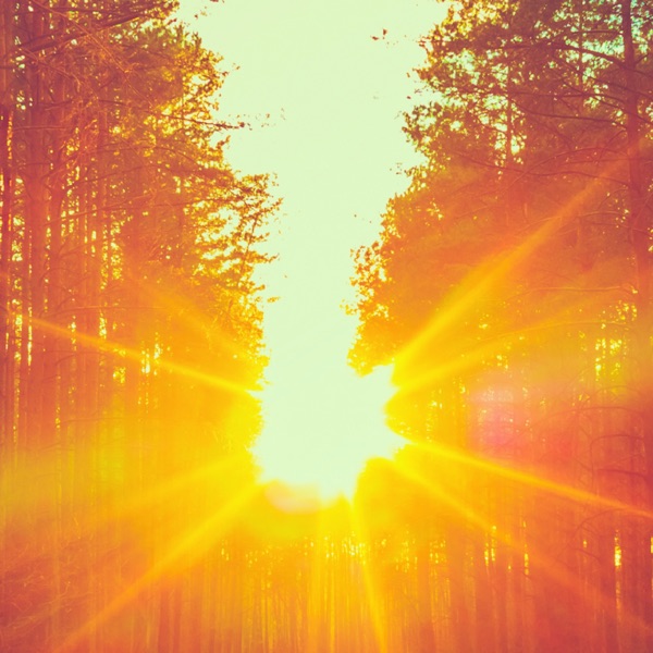 Relaxing BGM Project's avatar