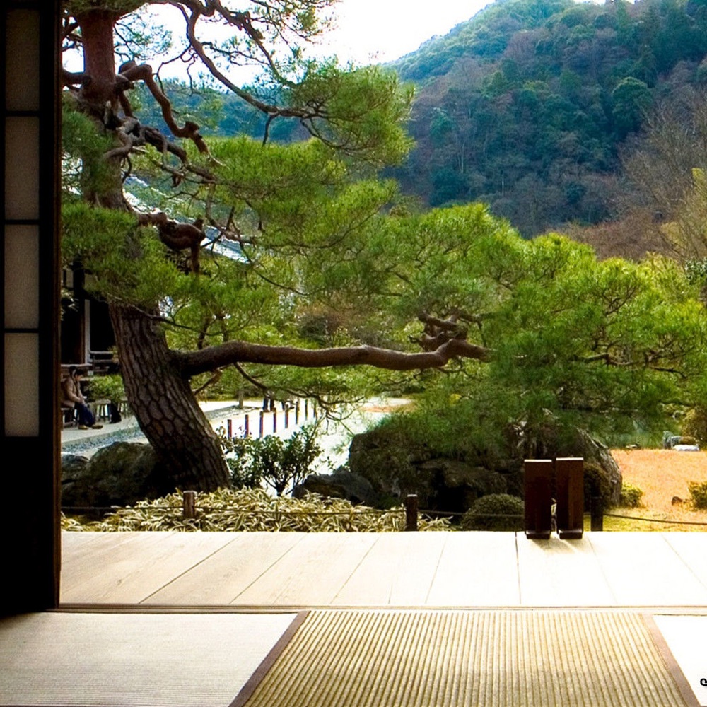 Фото Musique Zen